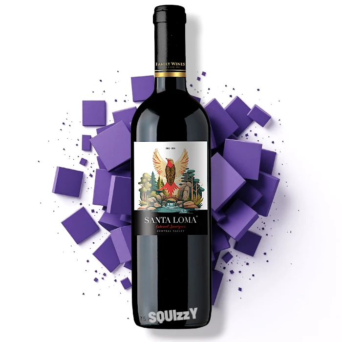 Santa Loma Cabernet Sauvignon Red Wine 750mL