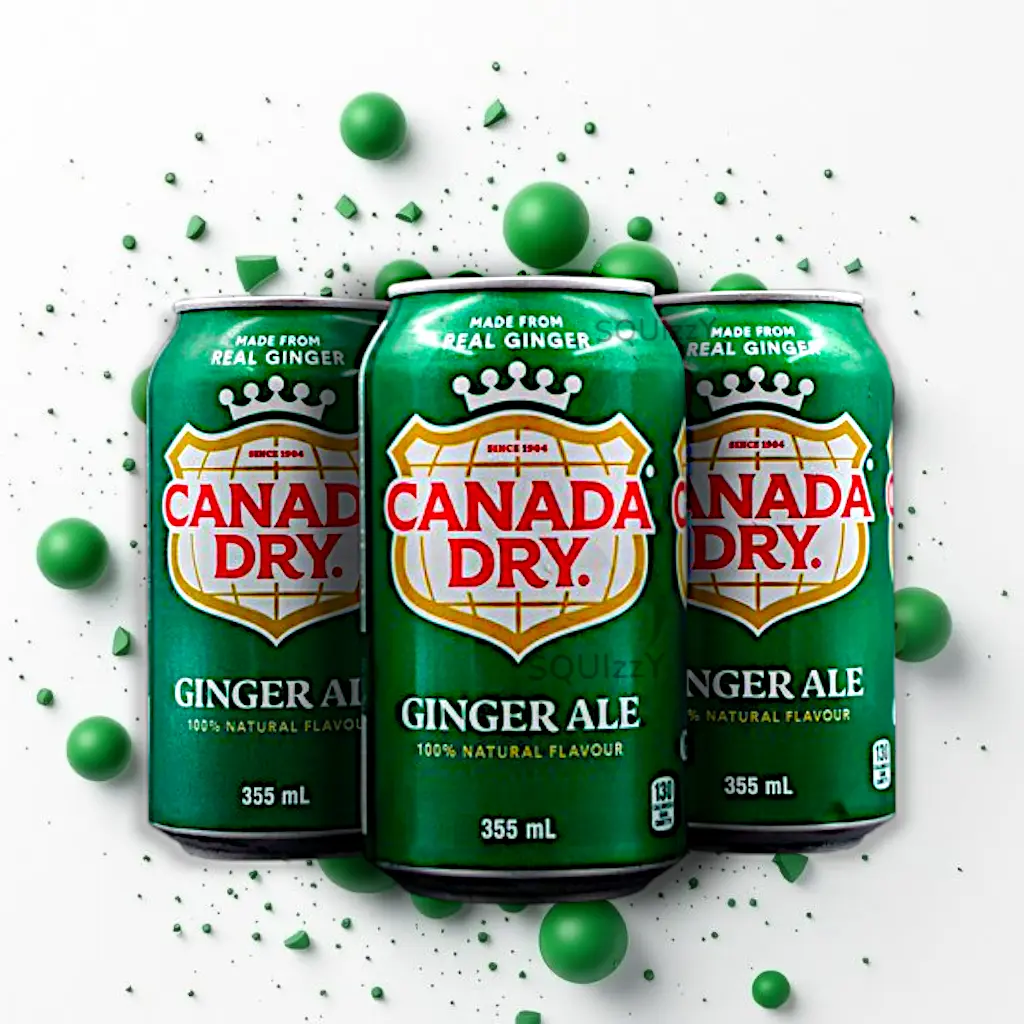 Canada Dry Ginger Ale Set 3 cans x 330mL