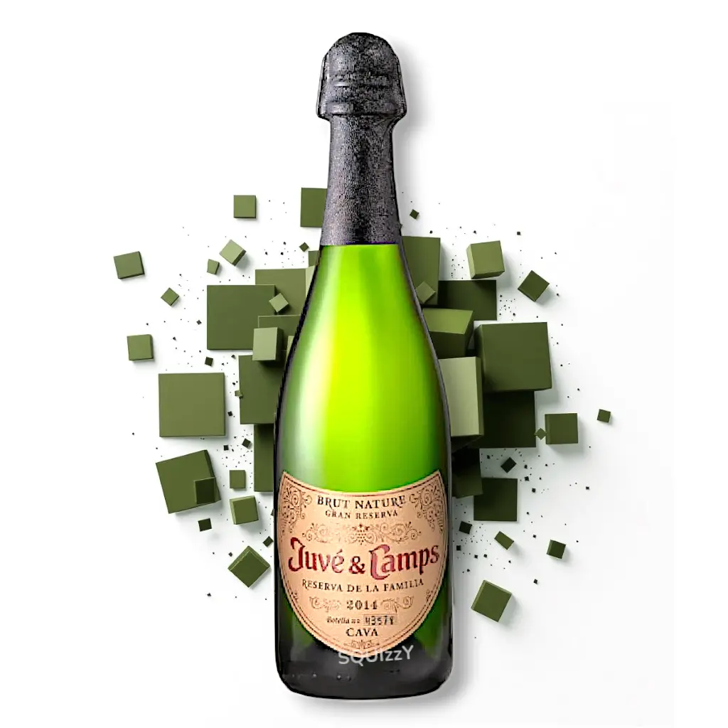 Juvé & Camps Cava Reserva De La Familia Brut Sparkling Wine 750mL