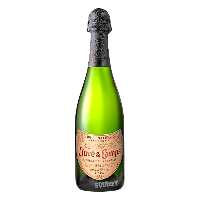 Juvé & Camps Cava Reserva De La Familia Brut Sparkling Wine 750mL