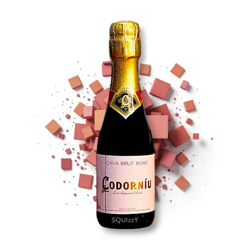 Codorniu Cava Brut Rose Sparkling wine 250mL